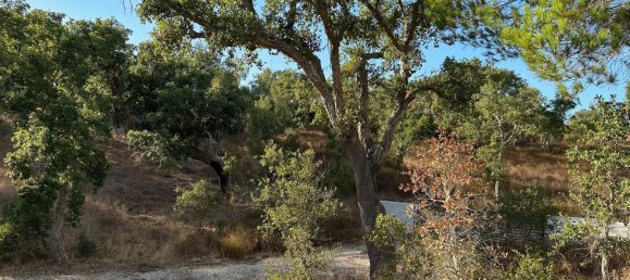 Земельный участок 234м² в Грандола, Португалия № 141532 11