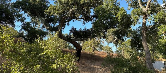 Земельный участок 234м² в Грандола, Португалия № 141532 17