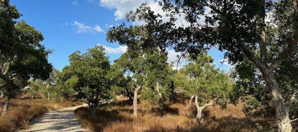 Земельный участок 234м² в Грандола, Португалия № 141532 7