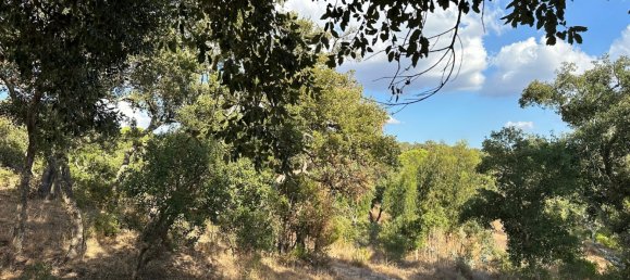 Земельный участок 234м² в Грандола, Португалия № 141532 15