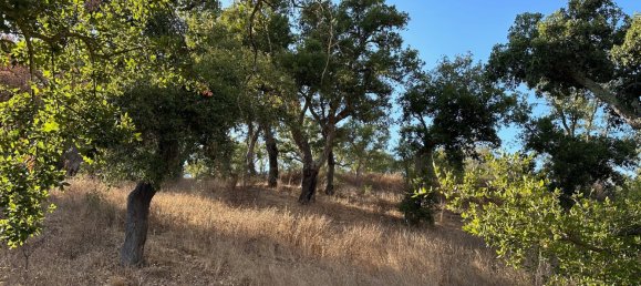 Земельный участок 234м² в Грандола, Португалия № 141532 19