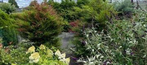 3 bedrooms House in Oberhavel, Germany No. 315919 3