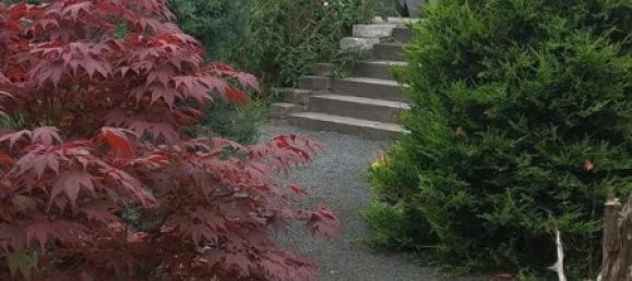 3 bedrooms House in Oberhavel, Germany No. 315919 20