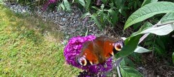 3 bedrooms House in Oberhavel, Germany No. 315919 4