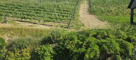 14 rooms House in Asti, Italy No. 258957 30