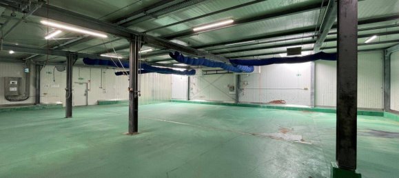 5360m² Warehouse in Liesing, Austria No. 258110 5