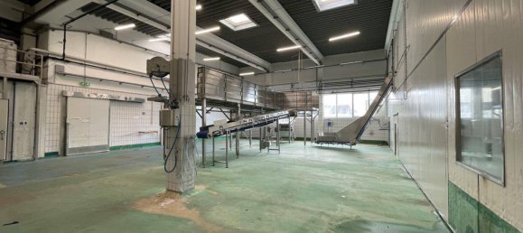 5360m² Warehouse in Liesing, Austria No. 258110 16