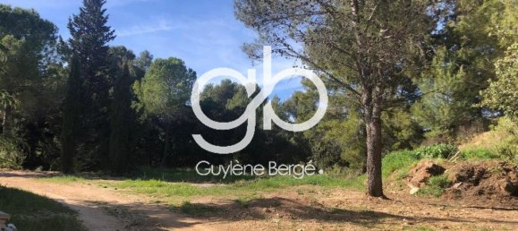 5 bedrooms Villa in Occitanie, France No. 298249 14