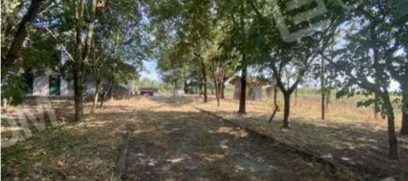 7 rooms Apartment in Faenza, Italy No. 93556 15