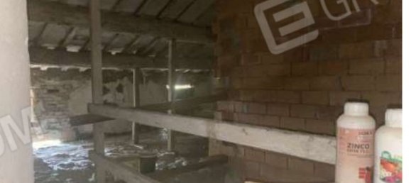 7 rooms Apartment in Faenza, Italy No. 93556 23