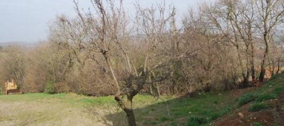889m² Land in Val Liona, Italy No. 125181 6
