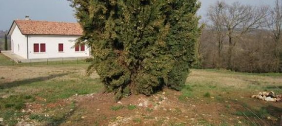 889m² Land in Val Liona, Italy No. 125181 9