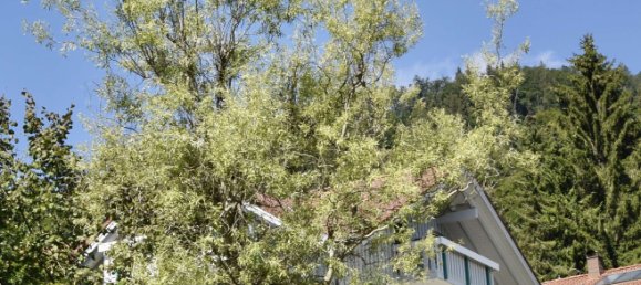 Квартира с 2 спальнями в Верхний Алльгой, Германия № 145554 10