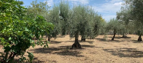 Studio in Modica, Italy No. 230582 26