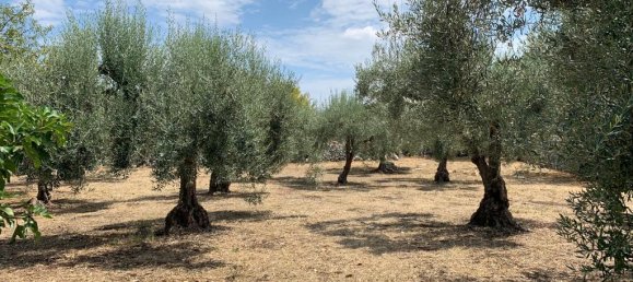 Studio in Modica, Italy No. 230582 25