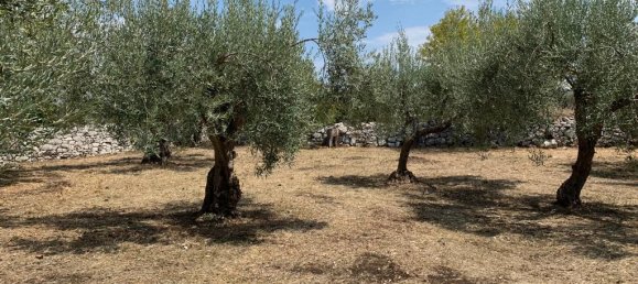 Studio in Modica, Italy No. 230582 30