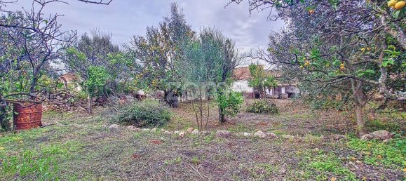 2 bedrooms House in Sao Bartolomeu de Messines, Portugal No. 59933 48