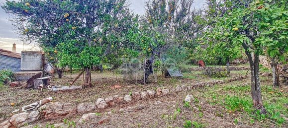 2 bedrooms House in Sao Bartolomeu de Messines, Portugal No. 59933 40