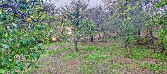 2 bedrooms House in Sao Bartolomeu de Messines, Portugal No. 59933 49