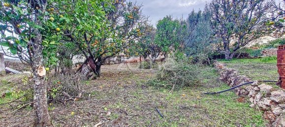 2 bedrooms House in Sao Bartolomeu de Messines, Portugal No. 59933 43