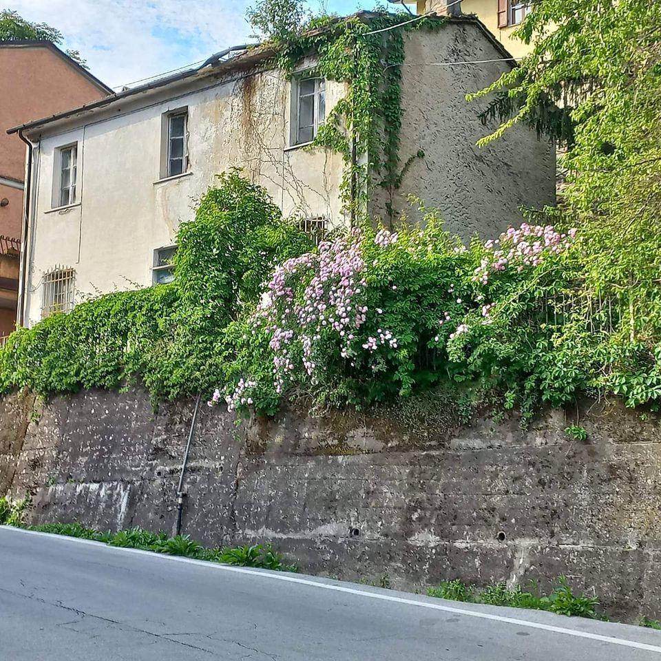 Casa de 6 divisões em Pietrasanta, Italy N.º 163437
