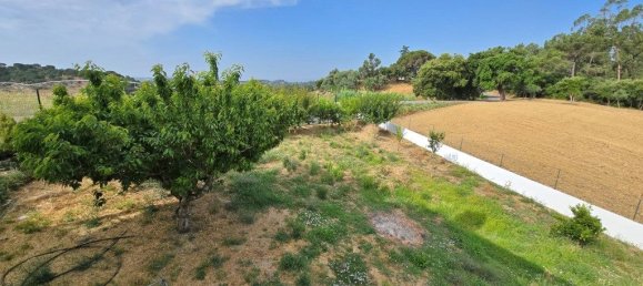 5 bedrooms House in Tomar, Portugal No. 192349 26