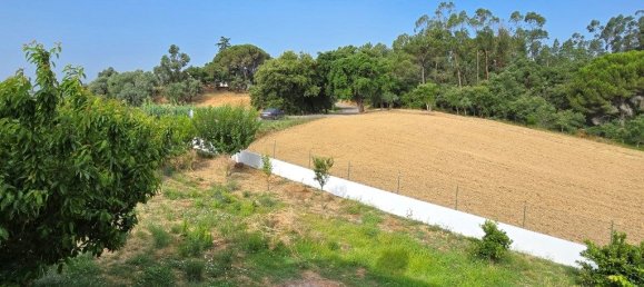 5 bedrooms House in Tomar, Portugal No. 192349 21