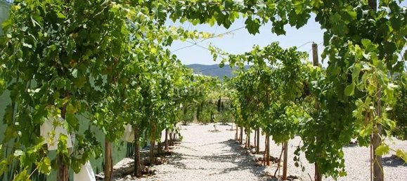 Дом с 5 спальнями в Хондон де Лас Ньевес, Испания № 63581 18