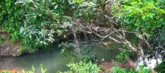 6 bedrooms House in Kunghur, Australia No. 889 26