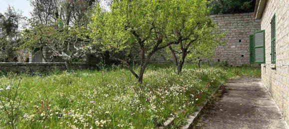 5 rooms Villa in Aggius, Italy No. 92581 6