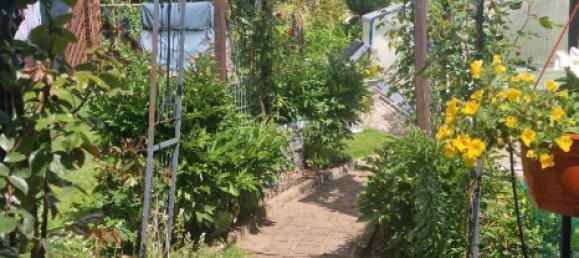 2 غرف نوم تاون هاوس في Mansfeld-Sudharz, Germany رقم 284046 3