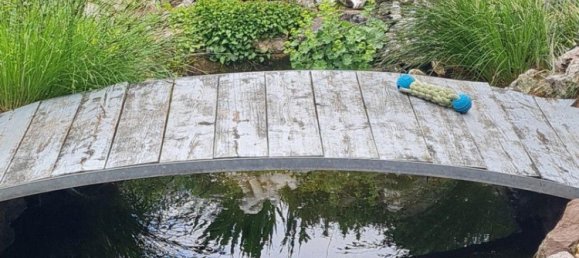 6 rooms House in Vienna, Austria No. 220473 6