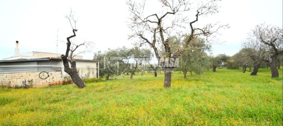 2 rooms Apartment in Gioia del Colle, Italy No. 138296 18