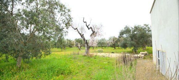 2 rooms Apartment in Gioia del Colle, Italy No. 138296 20