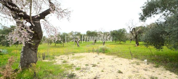 2 rooms Apartment in Gioia del Colle, Italy No. 138296 19