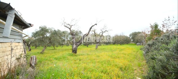 2 rooms Apartment in Gioia del Colle, Italy No. 138296 17