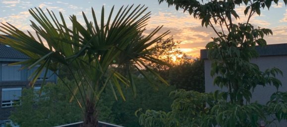 4 bedrooms Townhouse in Bremen, Germany No. 226217 19