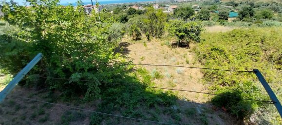 600m² Building in Santa Maria del Cedro, Italy No. 166793 20