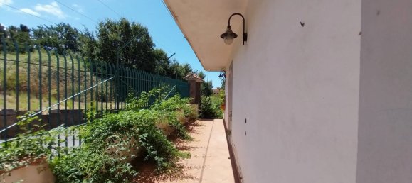 600m² Building in Santa Maria del Cedro, Italy No. 166793 27