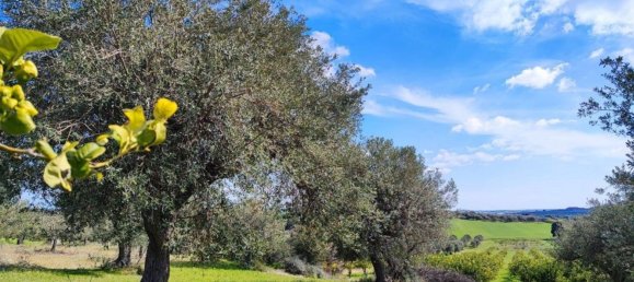 1 bedroom House in Noto, Italy No. 360771 3