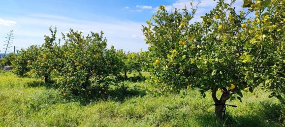 1 bedroom House in Noto, Italy No. 360771 6