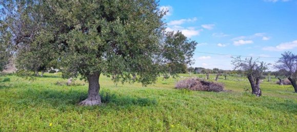 1 bedroom House in Noto, Italy No. 360771 9