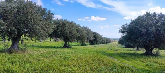 1 bedroom House in Noto, Italy No. 360771 10