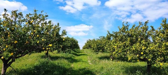 1 bedroom House in Noto, Italy No. 360771 4