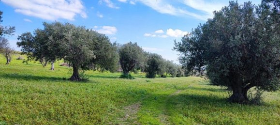 1 bedroom House in Noto, Italy No. 360771 11