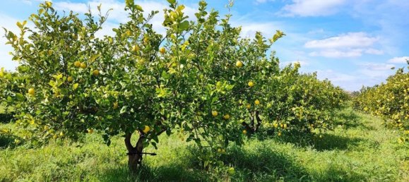 1 bedroom House in Noto, Italy No. 360771 7