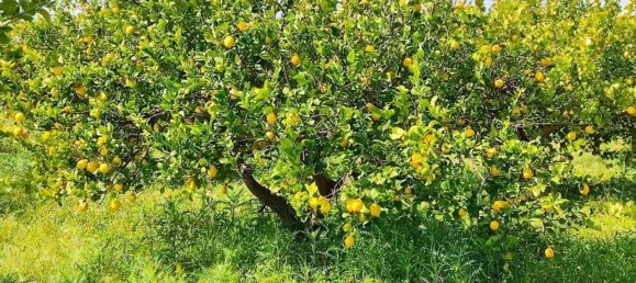 1 bedroom House in Noto, Italy No. 360771 5