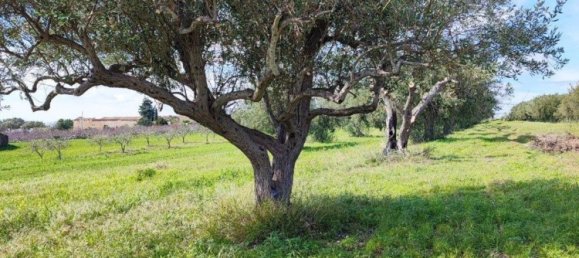 1 bedroom House in Noto, Italy No. 360771 12