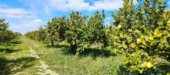 1 bedroom House in Noto, Italy No. 360771 8