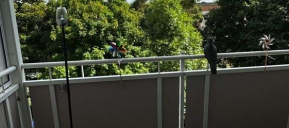 Квартира с 3 комнатами в Хемниц, Германия № 295530 10